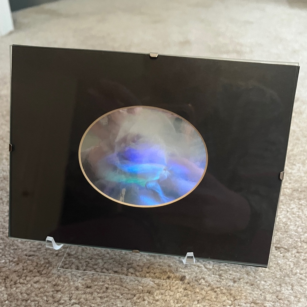 Blooming Rose Hologram Picture Frames with Stand by Elusive Image Pink Rose